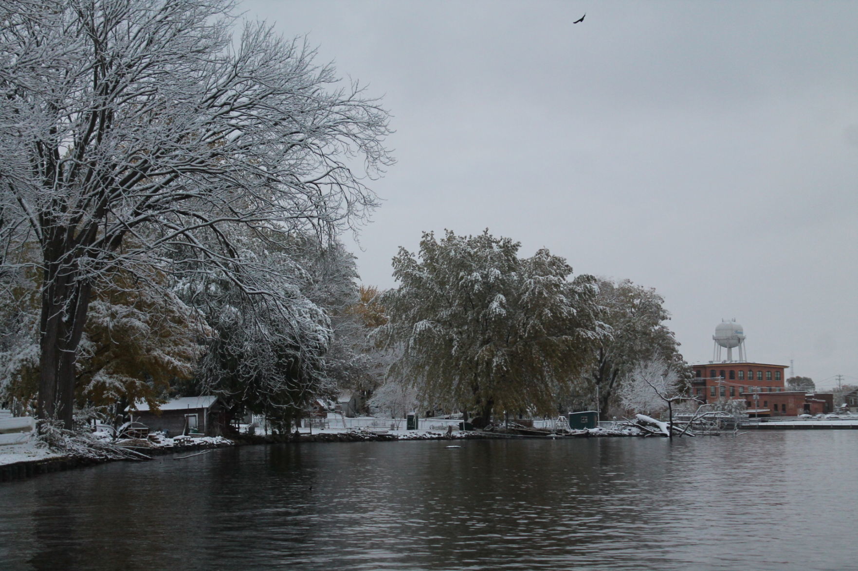 102919 snow 005.JPG